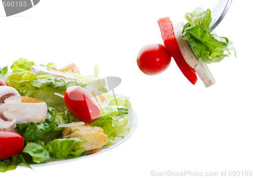 Image of Salad appetizer