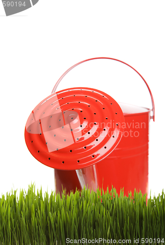 Image of Grass care