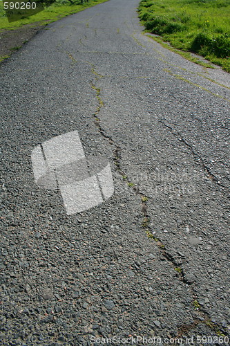 Image of Trail In A Park