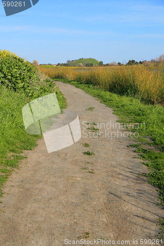 Image of Trail In A Park