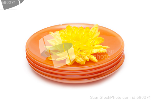 Image of Orange plates 