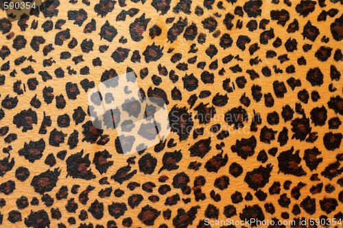 Image of Jaguar hide