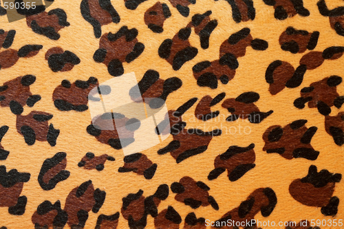 Image of Leopard hide