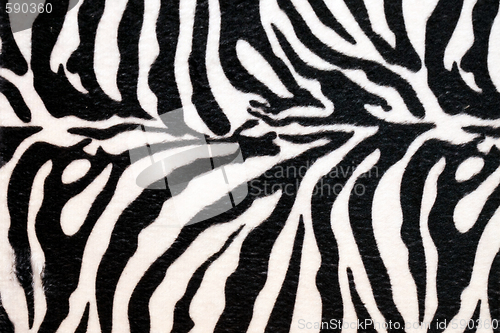 Image of Zebra hide
