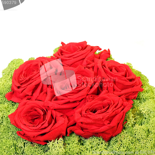 Image of Roses