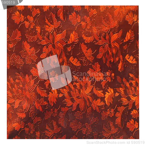 Image of Orange foliage