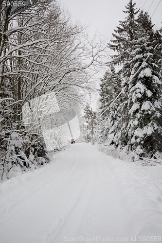 Image of Snowy road