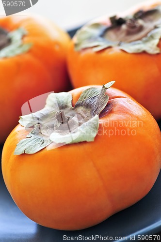 Image of Persimmons