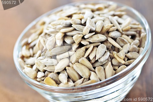 Image of Sunflower seeds