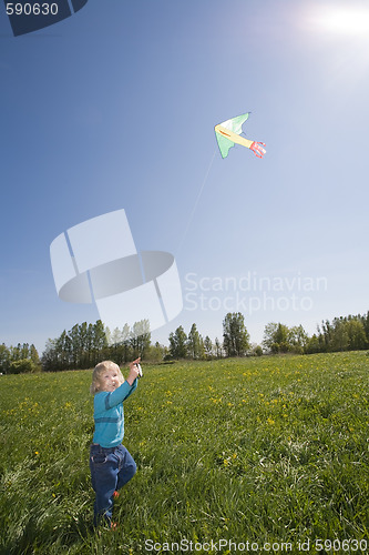 Image of kiteflying