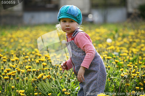 Image of summer girl