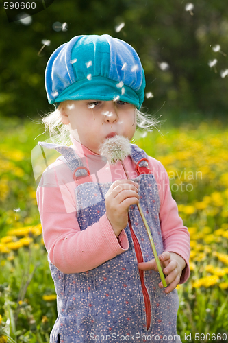 Image of girl with dandelion