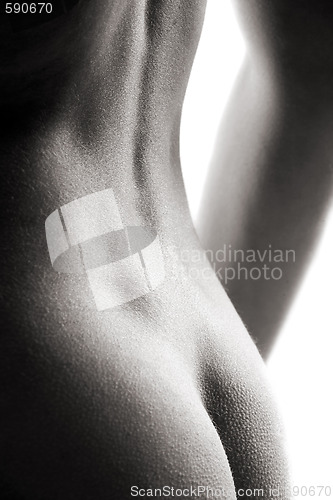 Image of bared back