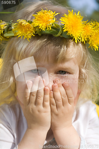 Image of dandelion