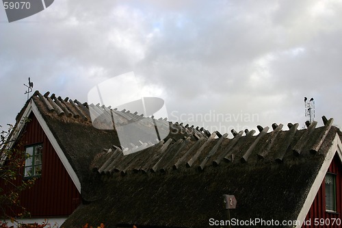 Image of straw roof