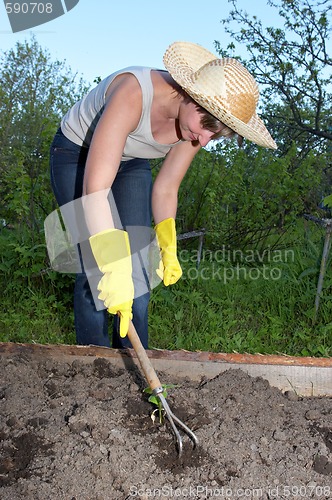 Image of garden work