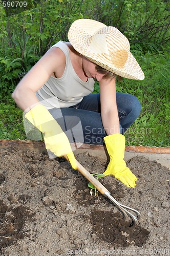 Image of garden work