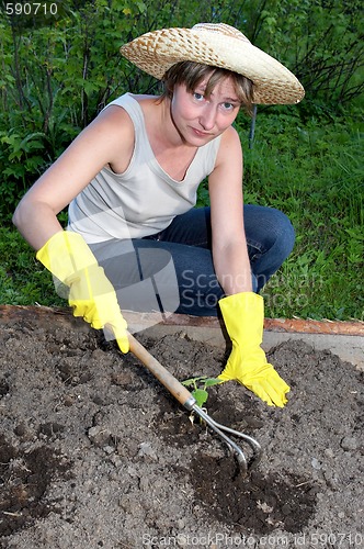 Image of garden work