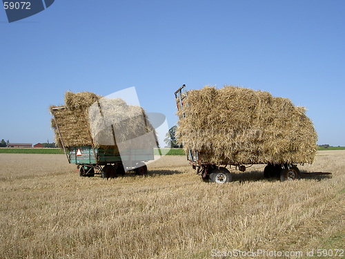 Image of hay on wagon