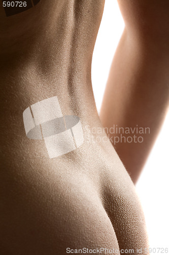Image of bared back