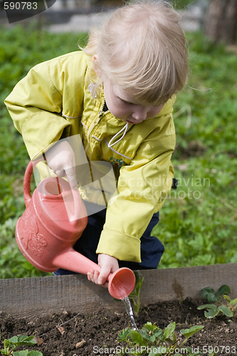 Image of little gardener