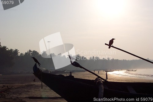 Image of birds on boats at sunrise