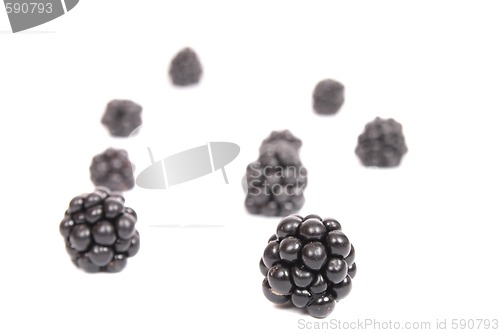 Image of blackberries