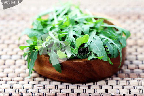 Image of fresh rucola