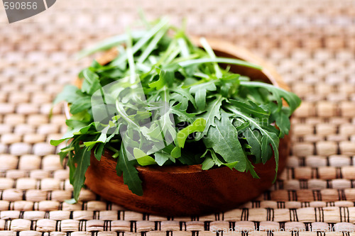 Image of fresh rucola