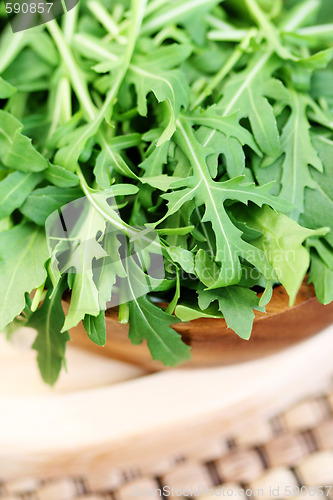 Image of fresh rucola