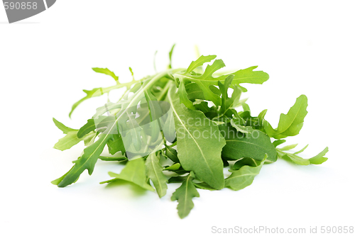 Image of fresh rucola