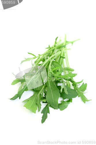 Image of fresh rucola