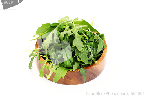 Image of fresh rucola