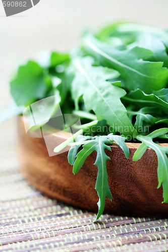 Image of fresh rucola