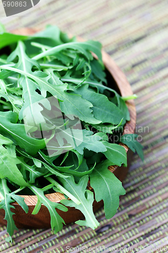 Image of fresh rucola