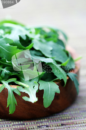 Image of fresh rucola