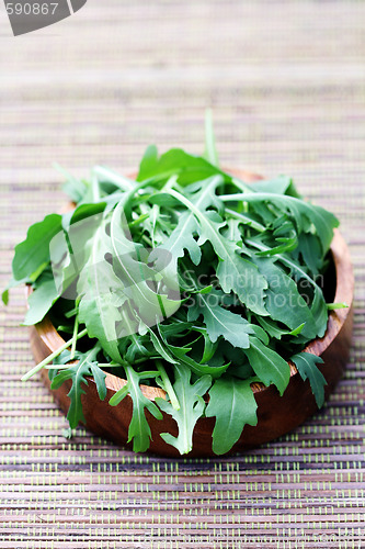 Image of fresh rucola