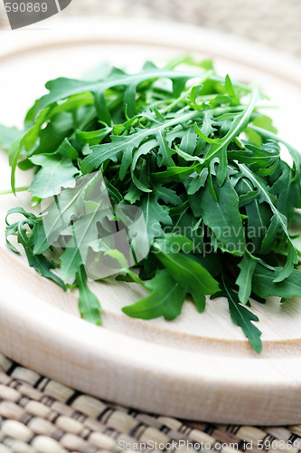 Image of fresh rucola