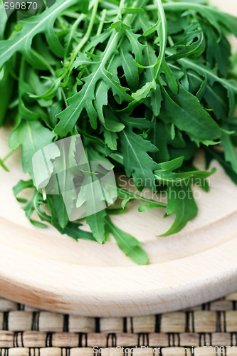 Image of fresh rucola