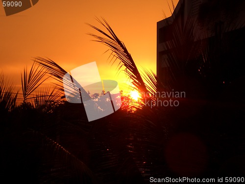 Image of gold warm sunset