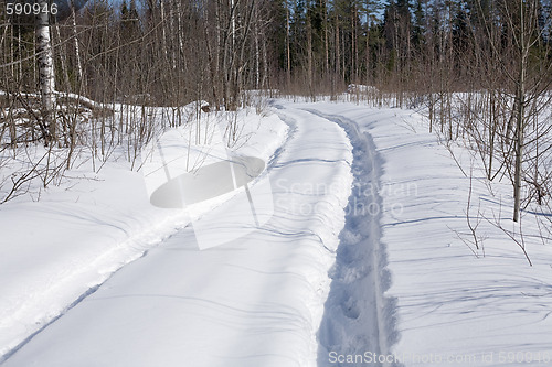 Image of winter forest road