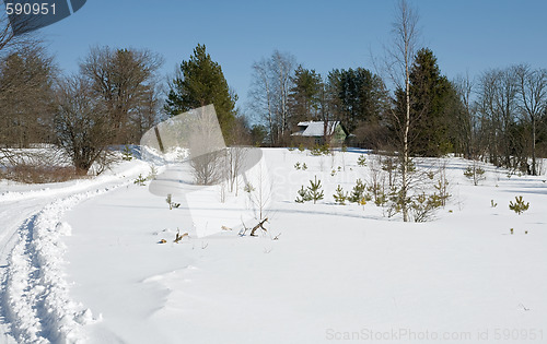 Image of winter rural landscape