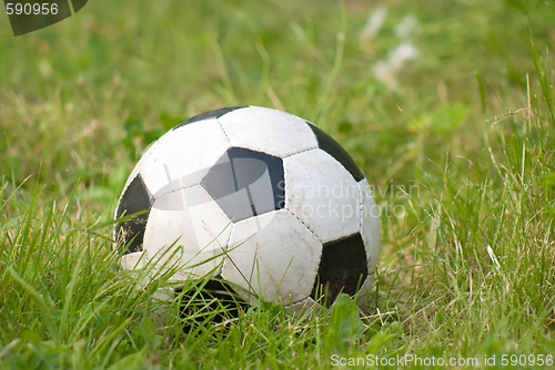 Image of Soccer ball
