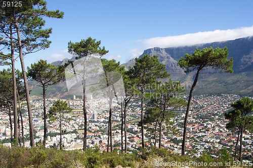 Image of Cape town from Lion's head