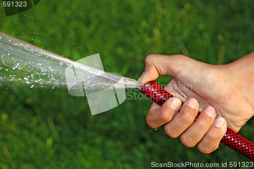 Image of Watering grass