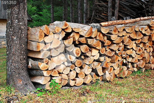 Image of Wood pile