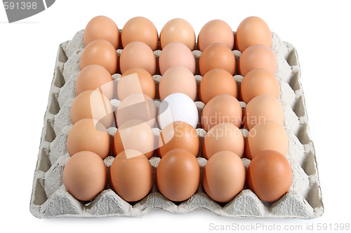 Image of Brown eggs