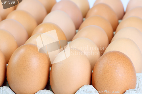 Image of Brown eggs