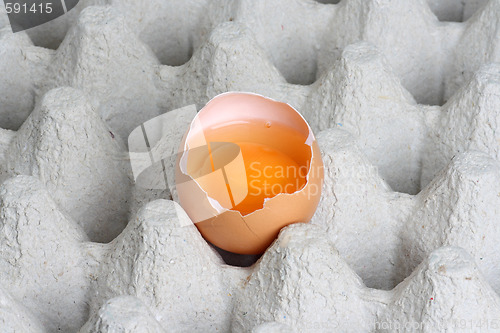 Image of Fresh eggs