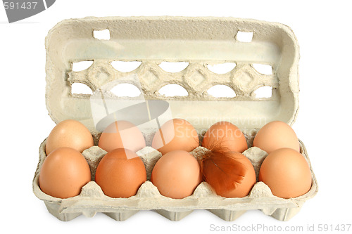 Image of Fresh Eggs